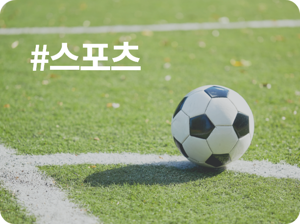 스포츠